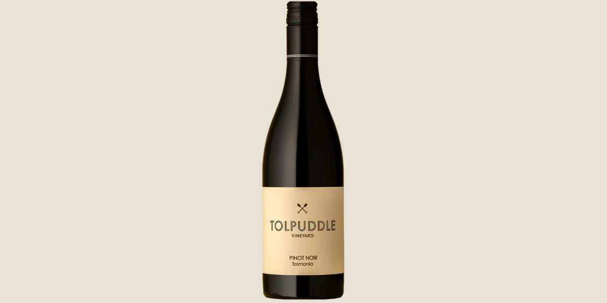 Tolpuddle Vineyard